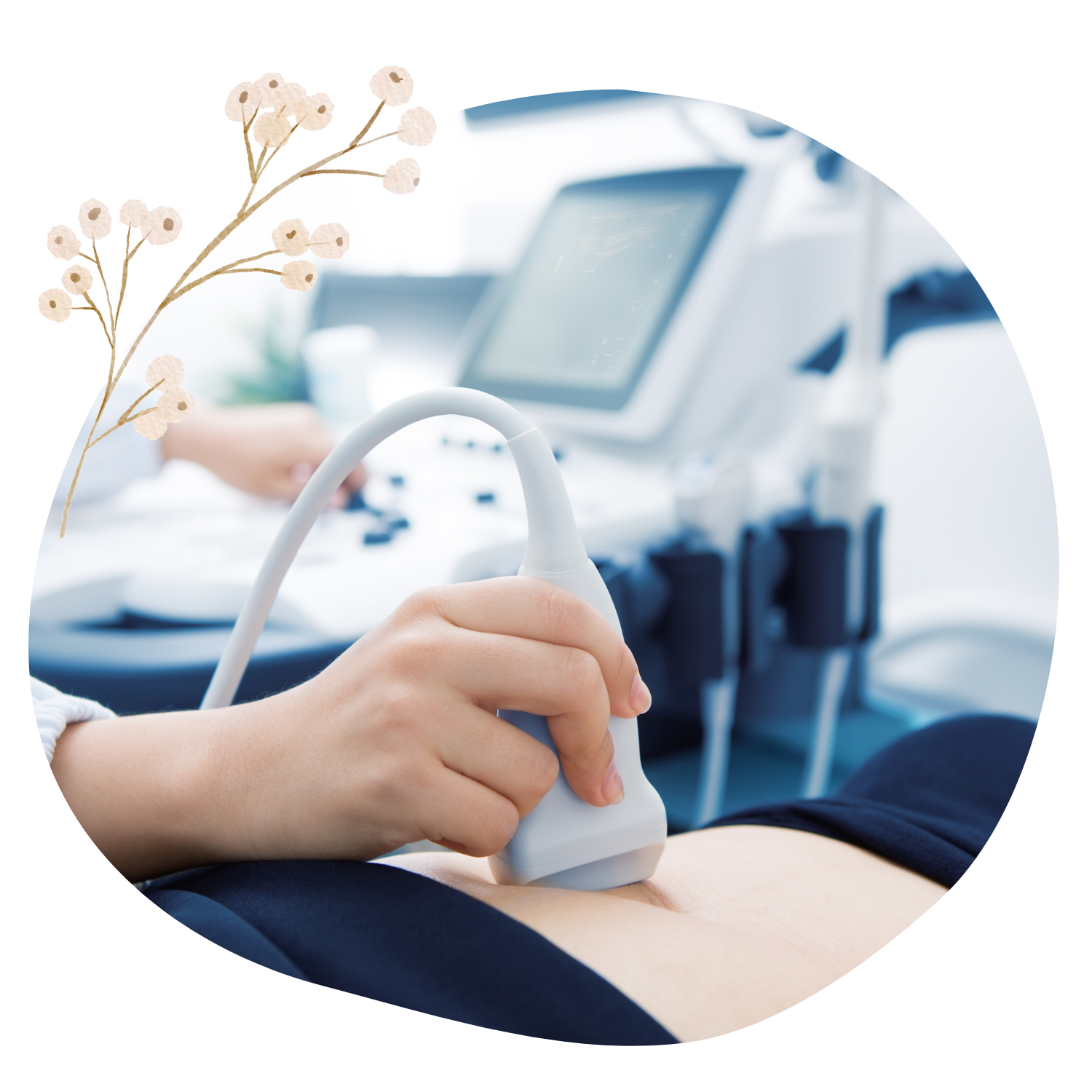 Why Ultrasound Matters